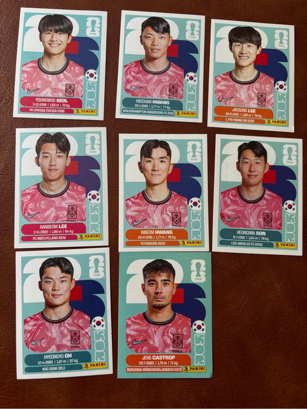 Panini Korea Football Sticker Set - Pink & Teal Accents